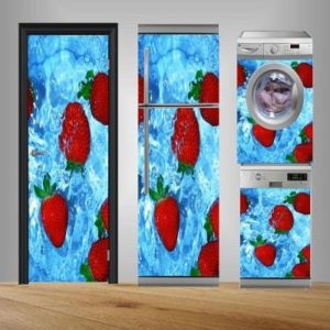 Wandbilder für Kühlschränke 1010 (2)