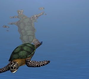 turtle wall mural 1063