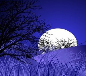 moon decorative stickers wall murals 1057