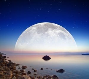 moon decorative stickers wall murals 1064