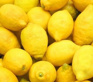 fotomurales de limones 1077