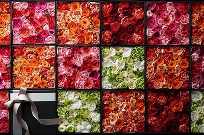 fotomurales baratos de flores 1290