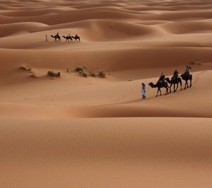 fotomurales-desérticas paisagens 1001