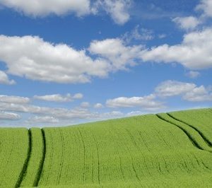 Como fotomurales paisagens 1123