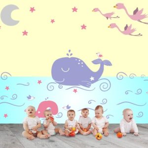 Baby whales and flamingos