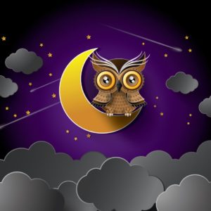moon owls